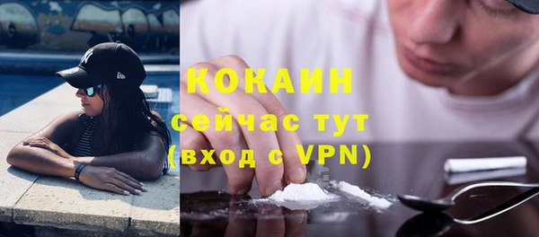 молекула духа Семёнов