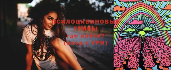 Альфа ПВП Абаза