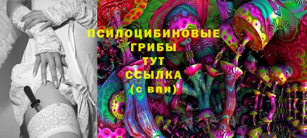 Альфа ПВП Абаза